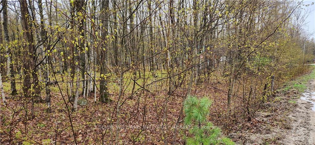 Photo 1 of L 10/11 Hollie Drive, Lanark Highlands, Lanark Highlands (Dalhousie) Twp — HOMEH