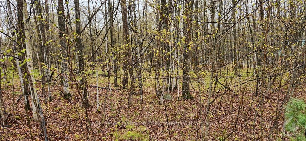 Photo 2 of L 10/11 Hollie Drive, Lanark Highlands, Lanark Highlands (Dalhousie) Twp — HOMEH