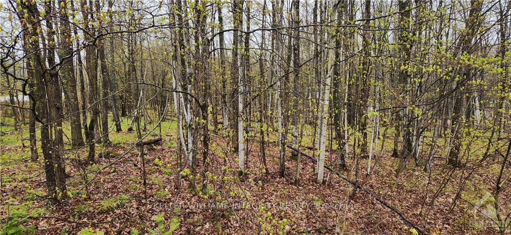 Photo 3 of L 10/11 Hollie Drive, Lanark Highlands, Lanark Highlands (Dalhousie) Twp — HOMEH
