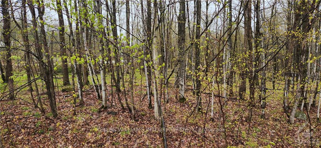 Photo 4 of L 10/11 Hollie Drive, Lanark Highlands, Lanark Highlands (Dalhousie) Twp — HOMEH