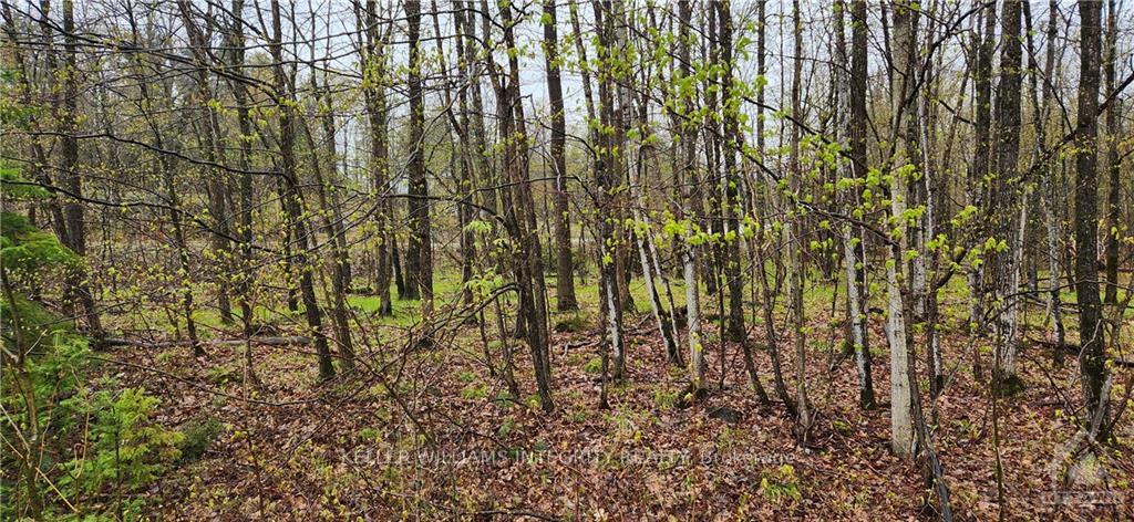Photo 5 of L 10/11 Hollie Drive, Lanark Highlands, Lanark Highlands (Dalhousie) Twp — HOMEH
