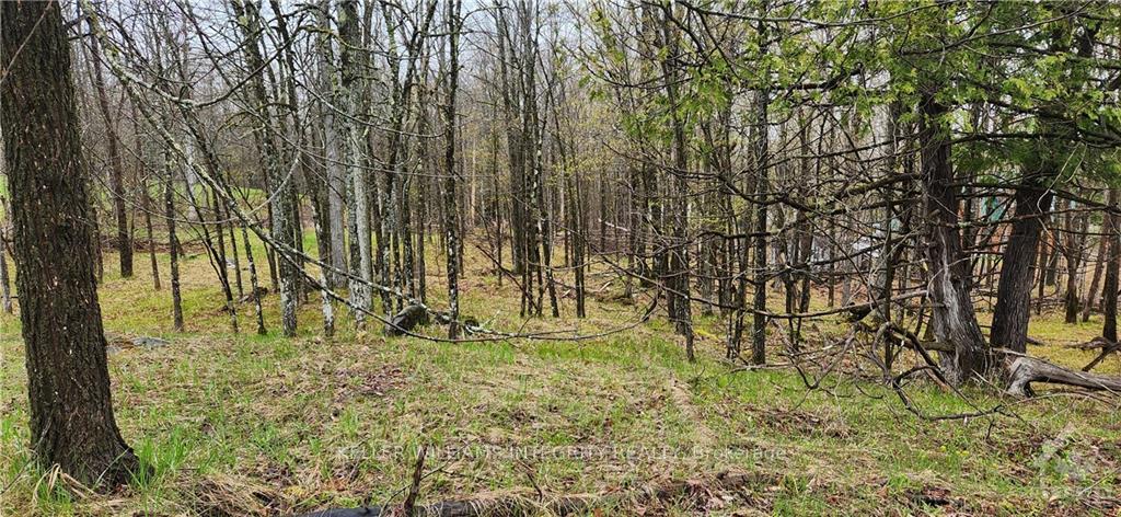 Photo 6 of L 10/11 Hollie Drive, Lanark Highlands, Lanark Highlands (Dalhousie) Twp — HOMEH