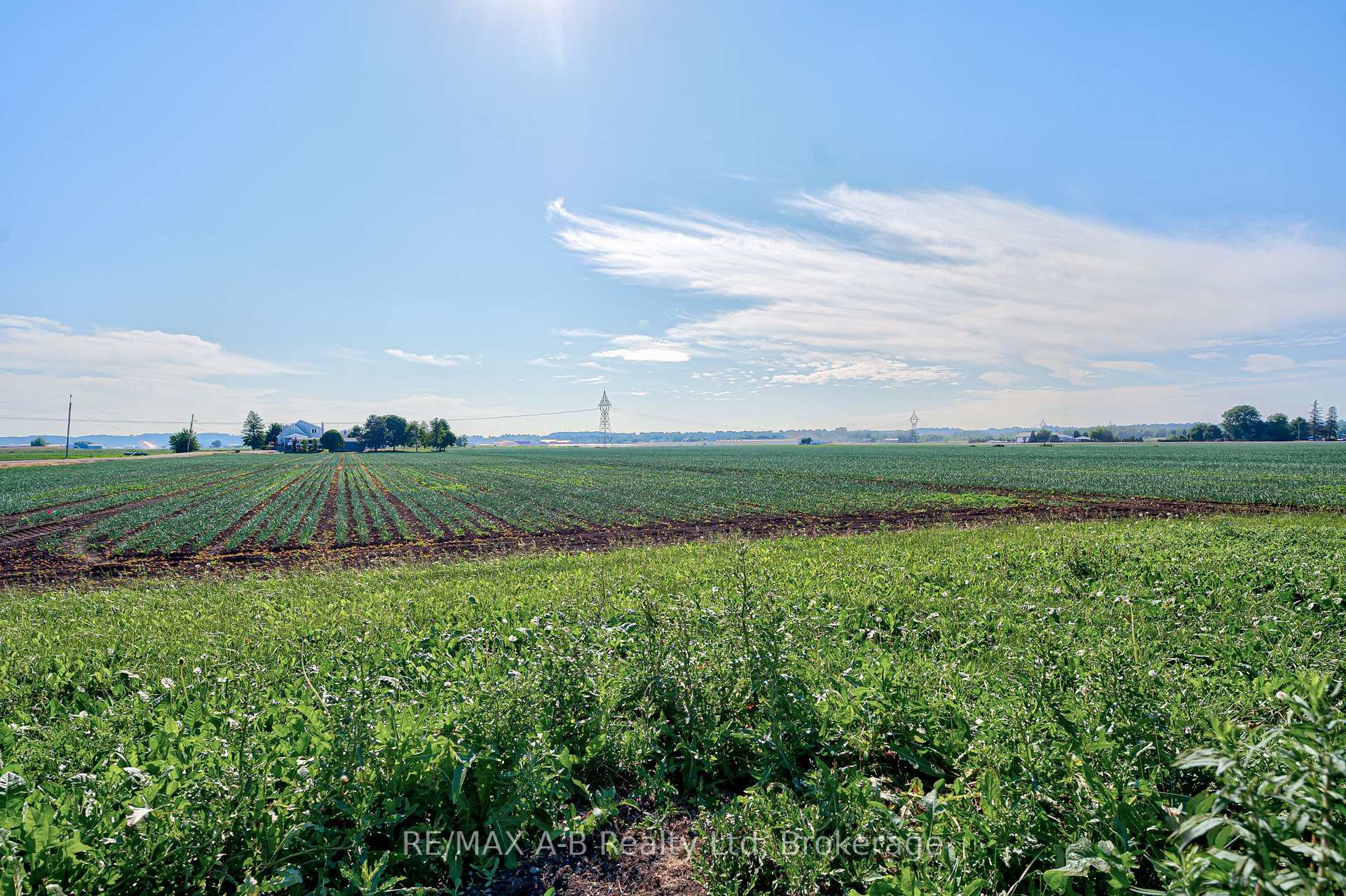 Photo 15 of 170 Wilhelmina Road, King, Rural King — HOMEH
