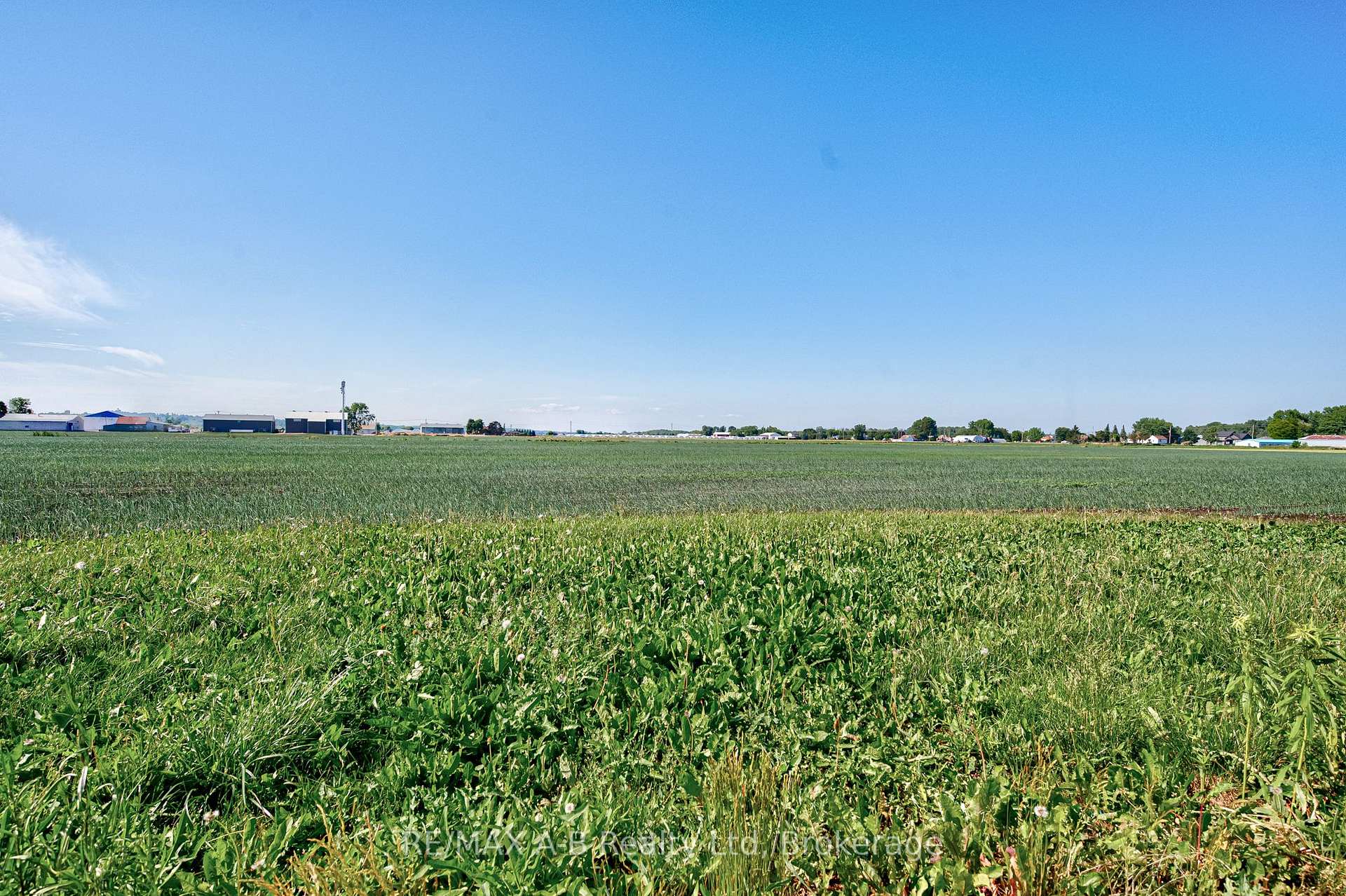Photo 16 of 170 Wilhelmina Road, King, Rural King — HOMEH