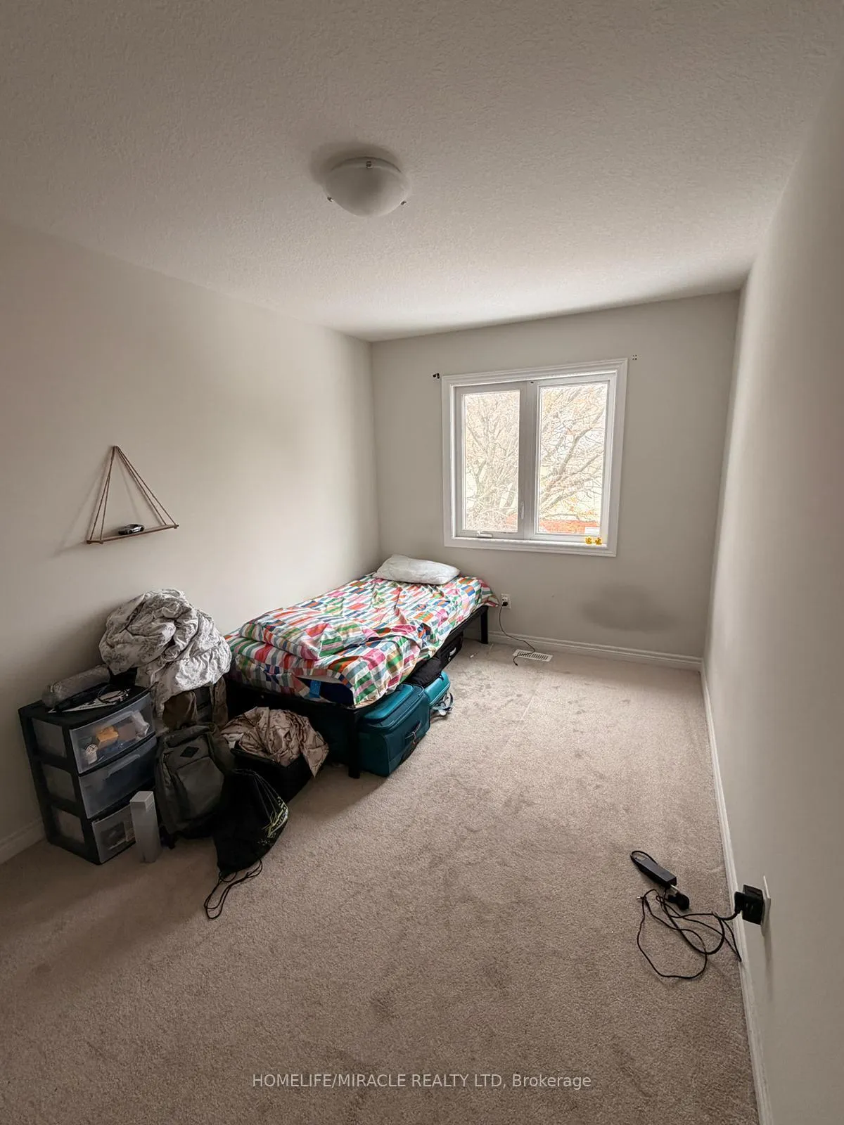 Photo 6 of 11 Genoa Drive, Hamilton, Ryckmans — HOMEH