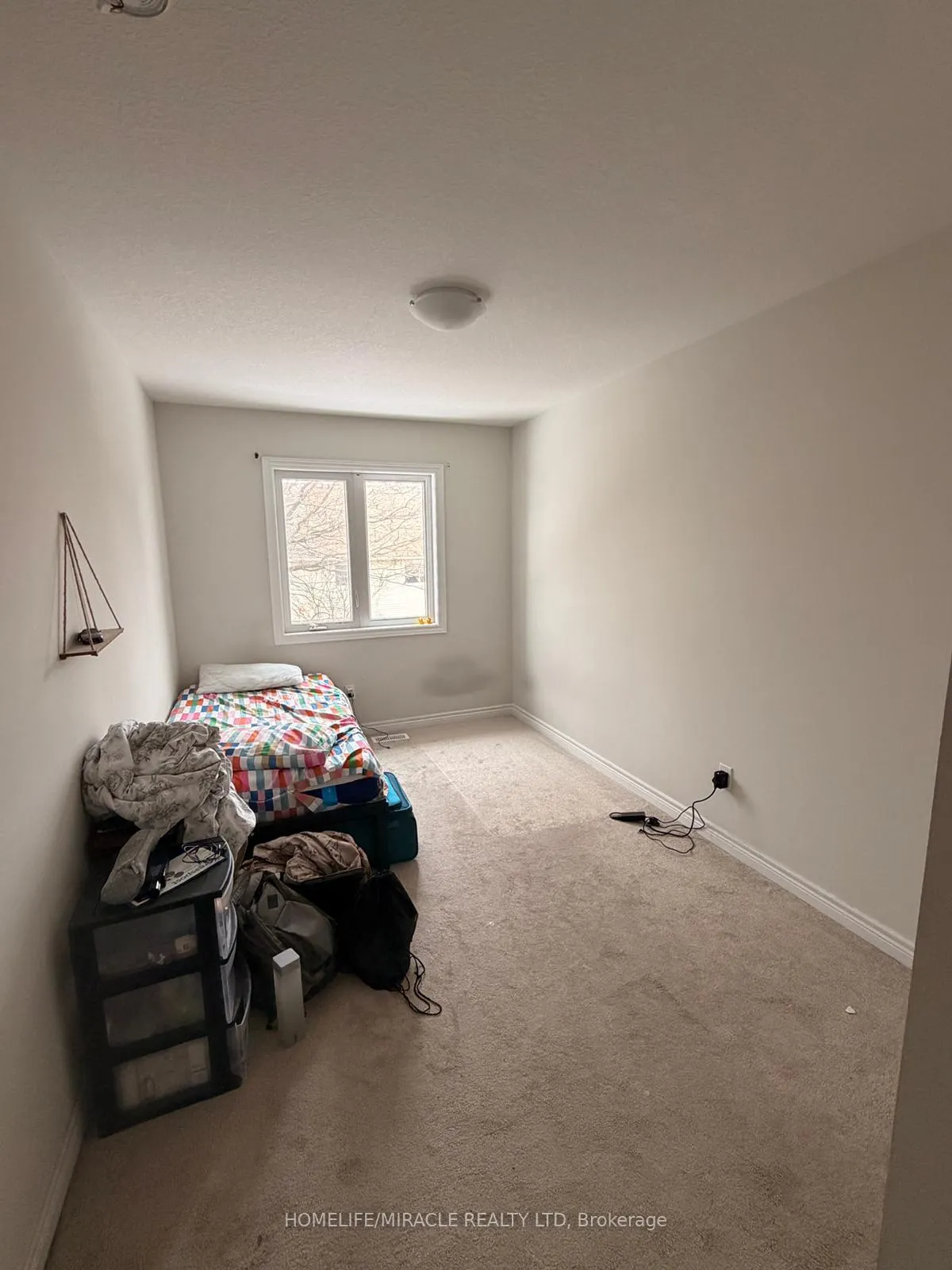 Photo 8 of 11 Genoa Drive, Hamilton, Ryckmans — HOMEH