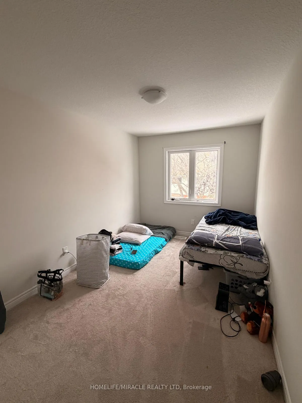 Photo 9 of 11 Genoa Drive, Hamilton, Ryckmans — HOMEH