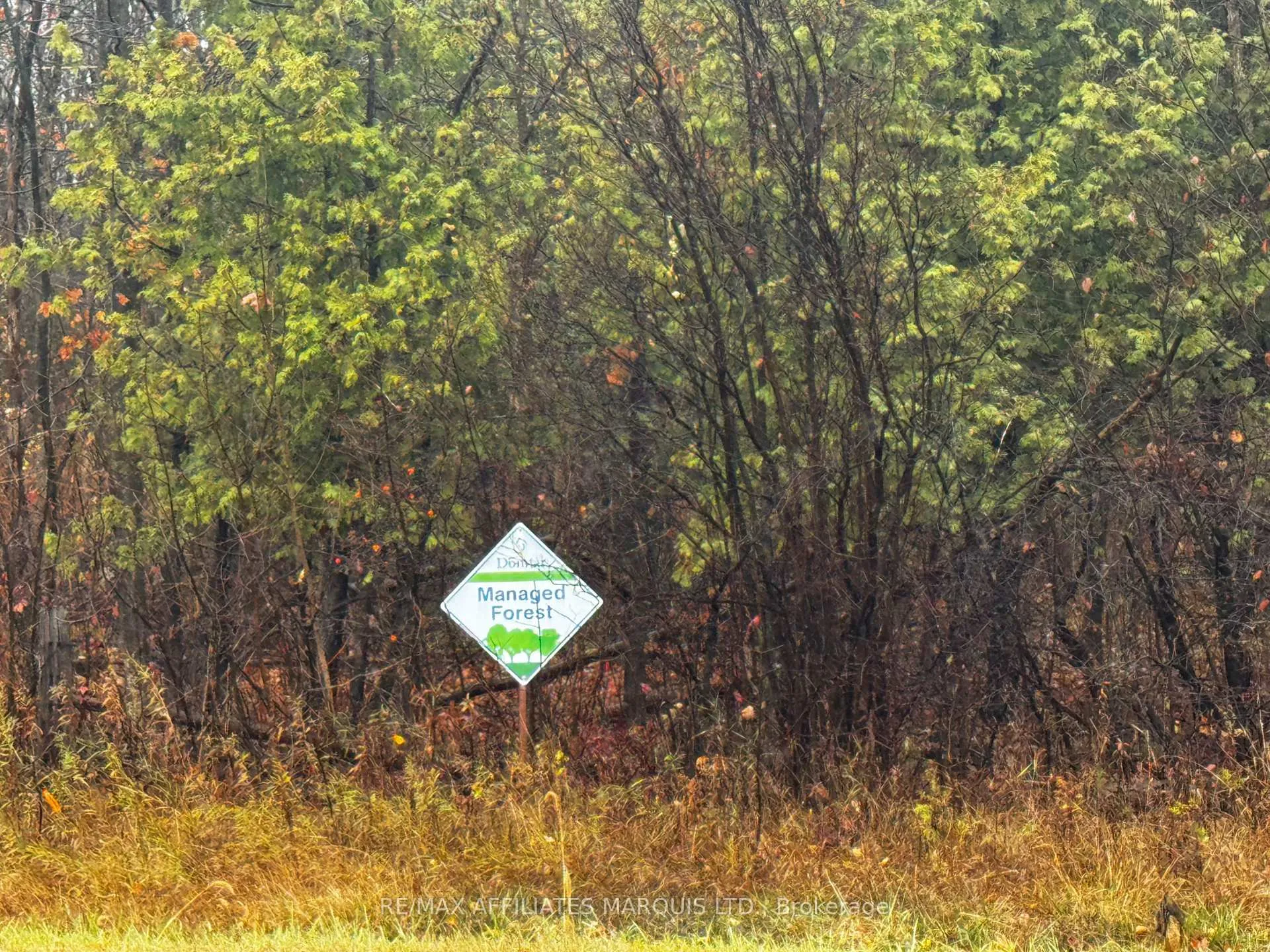 Photo 5 of LOT County Road 43, North Glengarry, North Glengarry (Kenyon) Twp — HOMEH