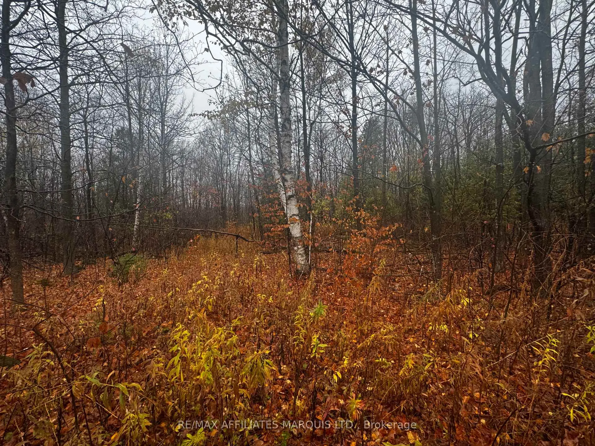 Photo 6 of LOT County Road 43, North Glengarry, North Glengarry (Kenyon) Twp — HOMEH
