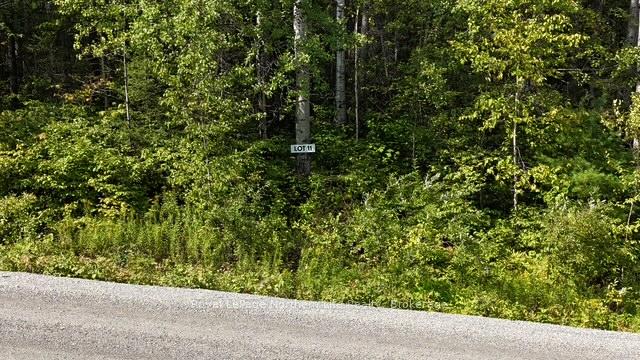 Photo 2 of LOT 11 Fox Run Drive, Temagami — HOMEH