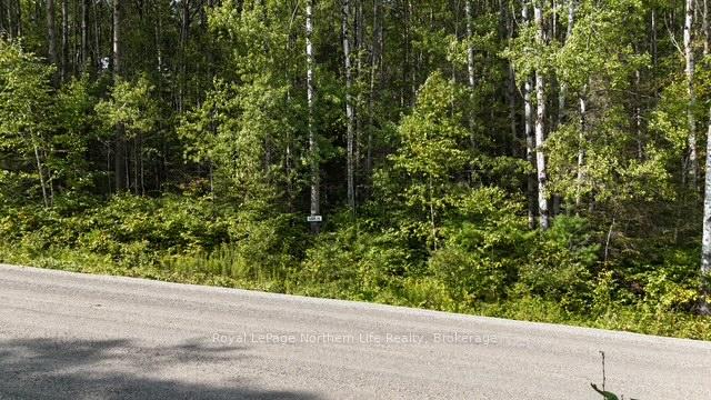 Photo 3 of LOT 11 Fox Run Drive, Temagami — HOMEH