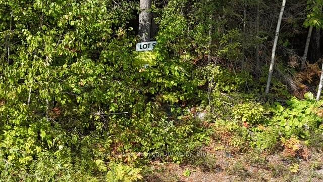 Photo 2 of LOT 9 Fox Run Drive, Temagami — HOMEH