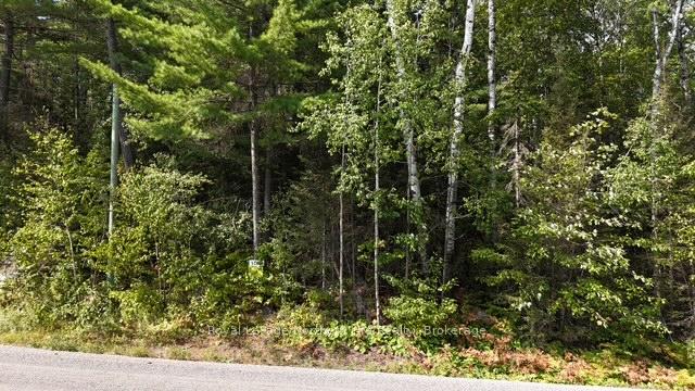Photo 3 of LOT 9 Fox Run Drive, Temagami — HOMEH