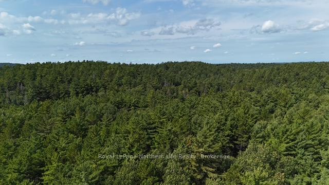 Photo 5 of LOT 8 Fox Run Drive, Temagami — HOMEH
