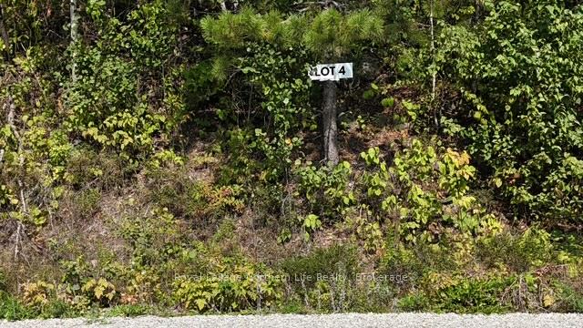 Photo 2 of LOT 4 Fox Run Drive, Temagami — HOMEH