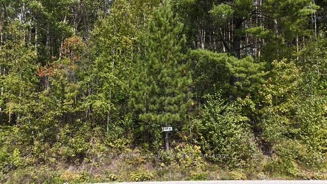 Photo 3 of LOT 4 Fox Run Drive, Temagami — HOMEH