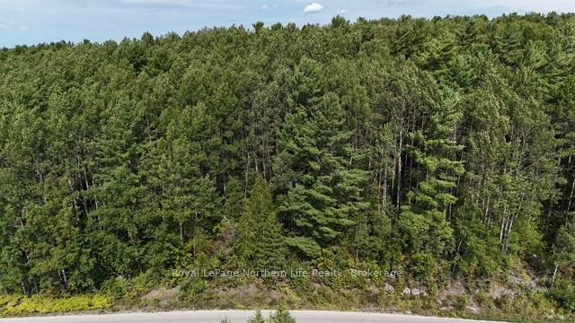 Photo 4 of LOT 4 Fox Run Drive, Temagami — HOMEH