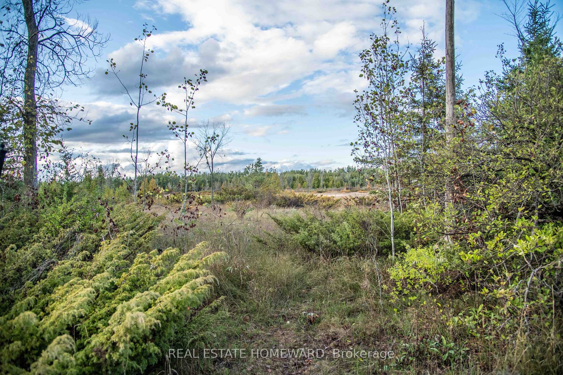 Photo of 254-256 McGuire Beach Road