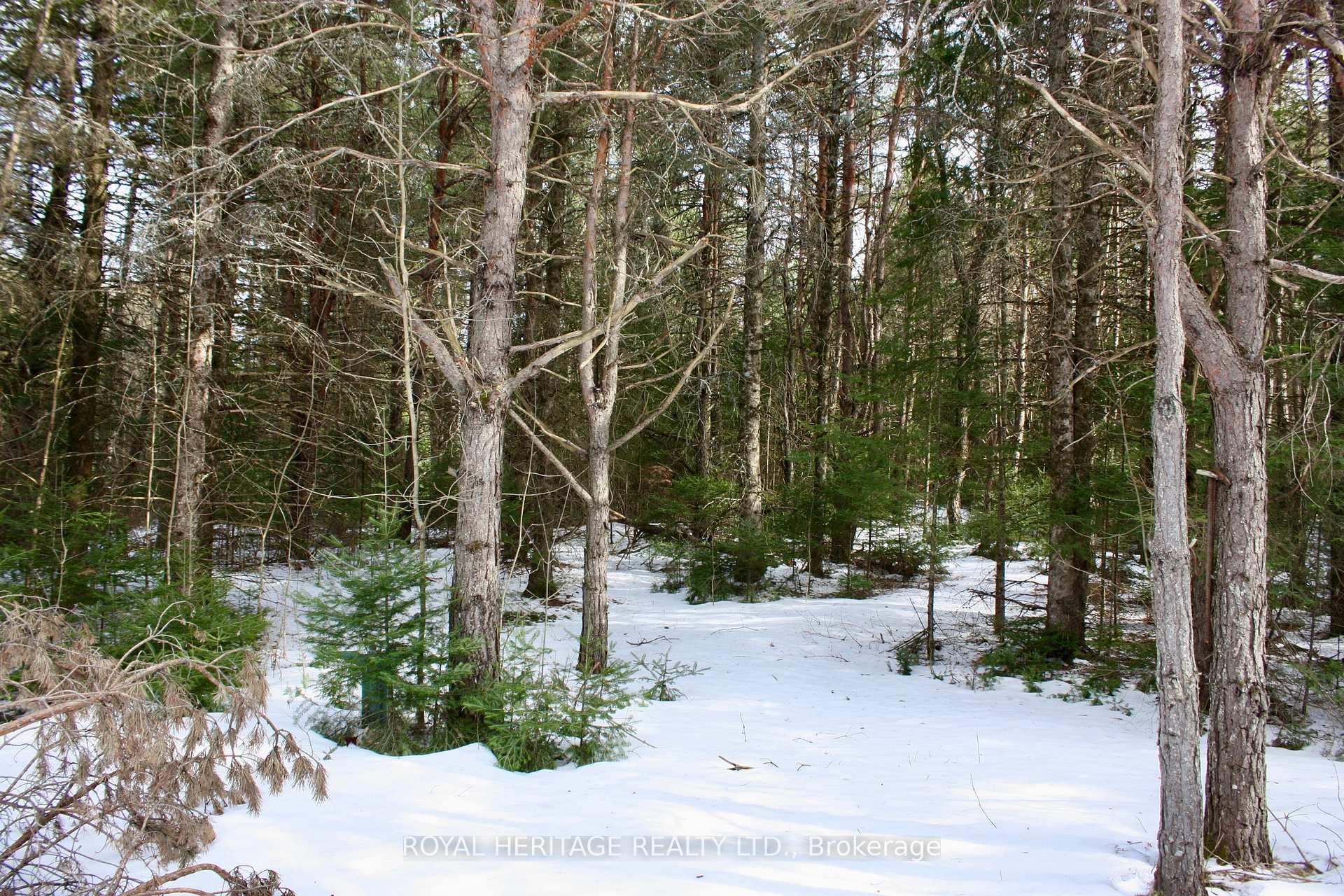 Photo 14 of 449 Limerick Lake Road, Limerick — HOMEH