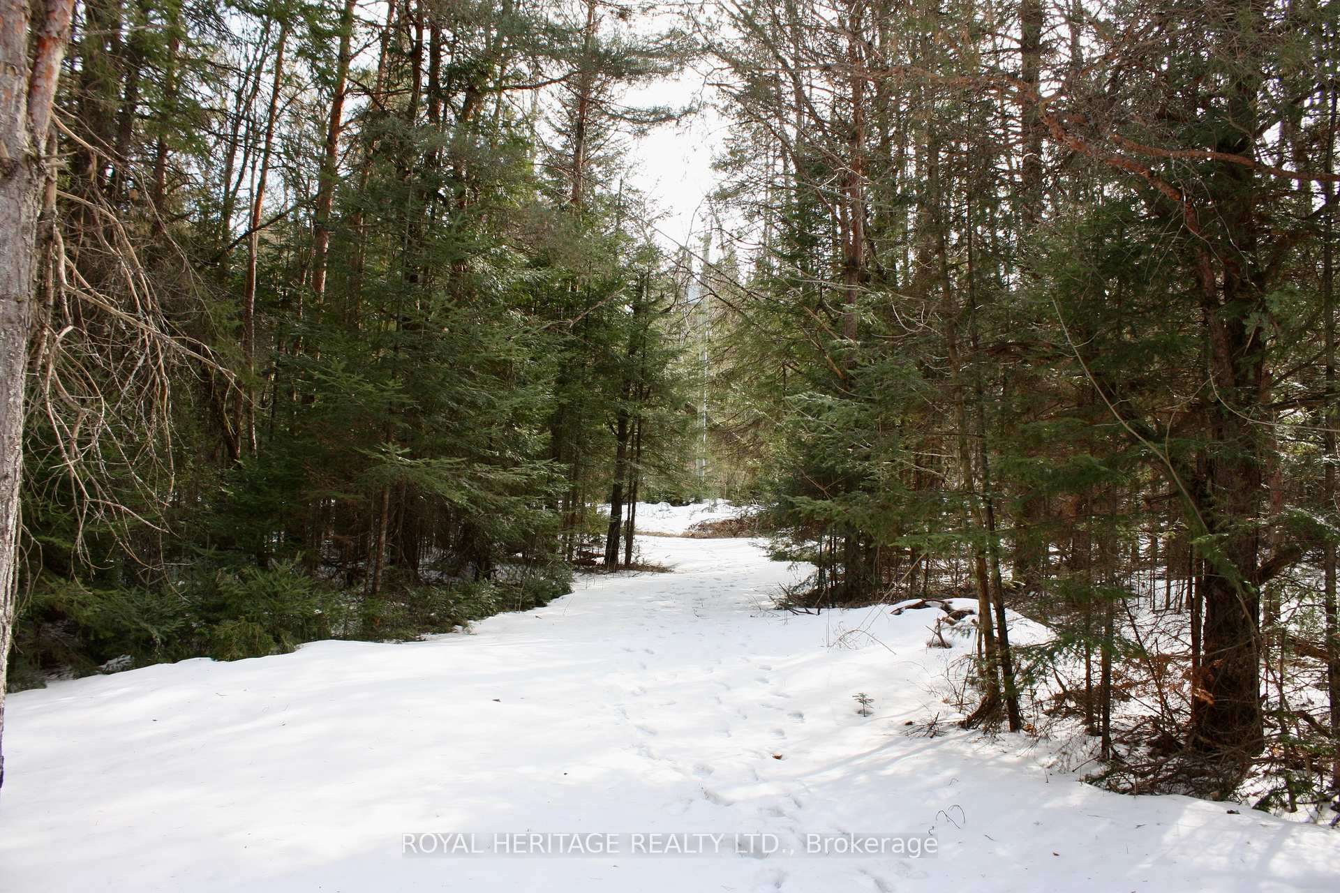 Photo 15 of 449 Limerick Lake Road, Limerick — HOMEH
