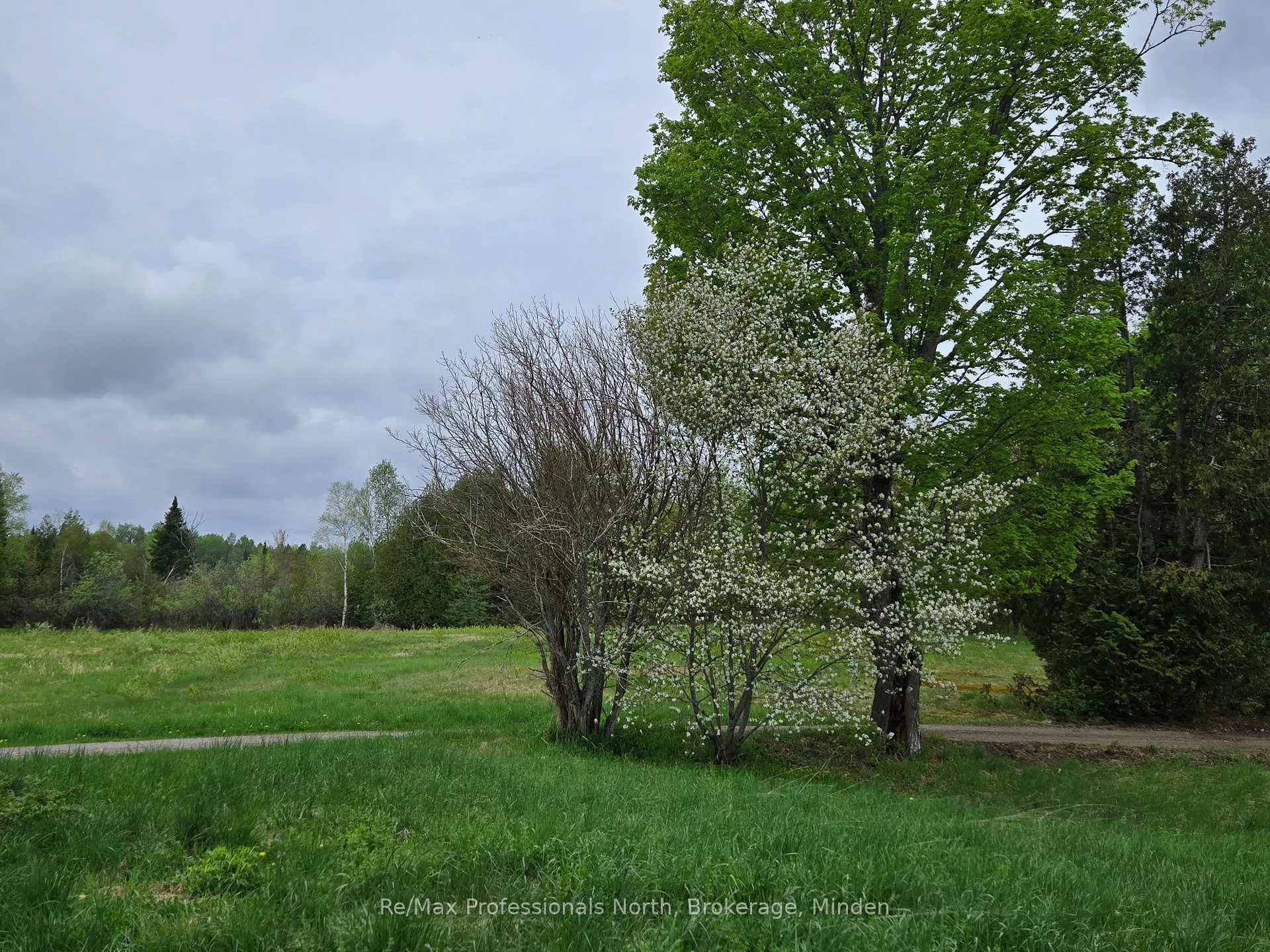 Photo 24 of 1047 Mccrea Road, Highlands East, Monmouth — HOMEH