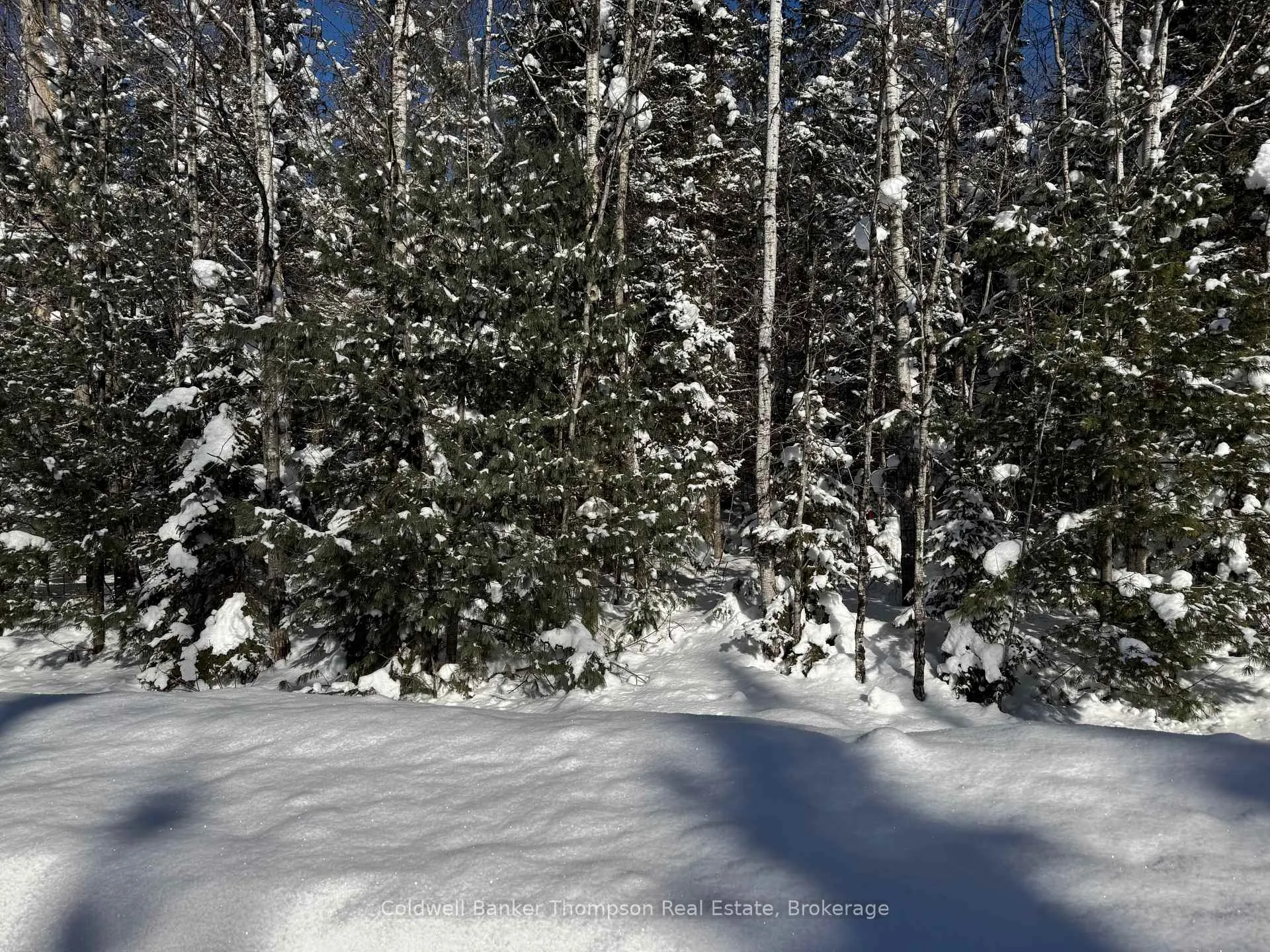 Photo 1 of Highway 518, Kearney, Proudfoot — HOMEH