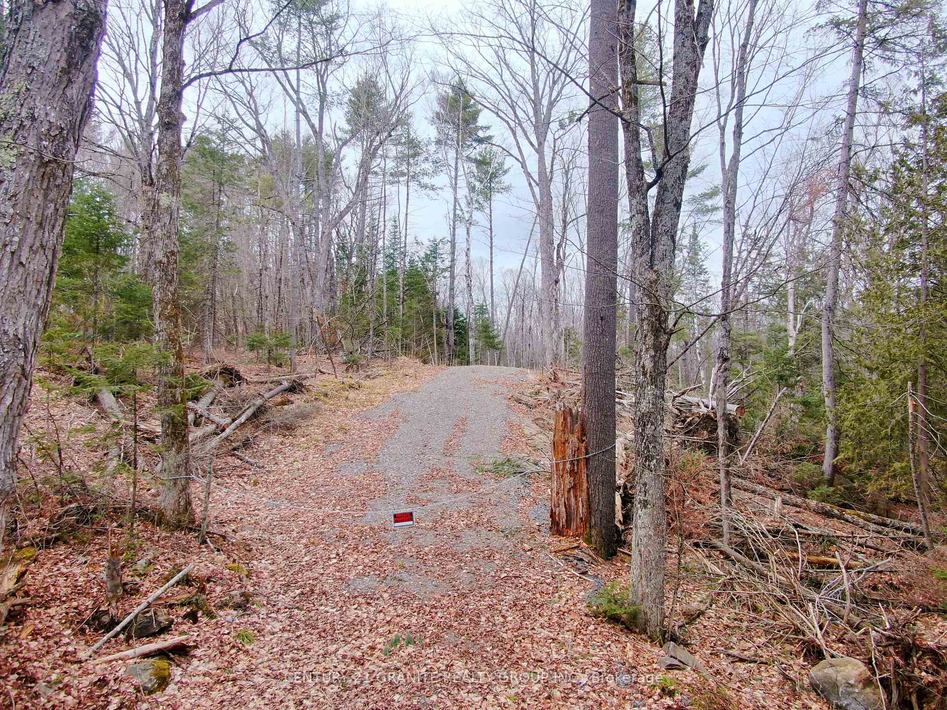 Photo 2 of Steenburg Lake North Road E, Limerick — HOMEH