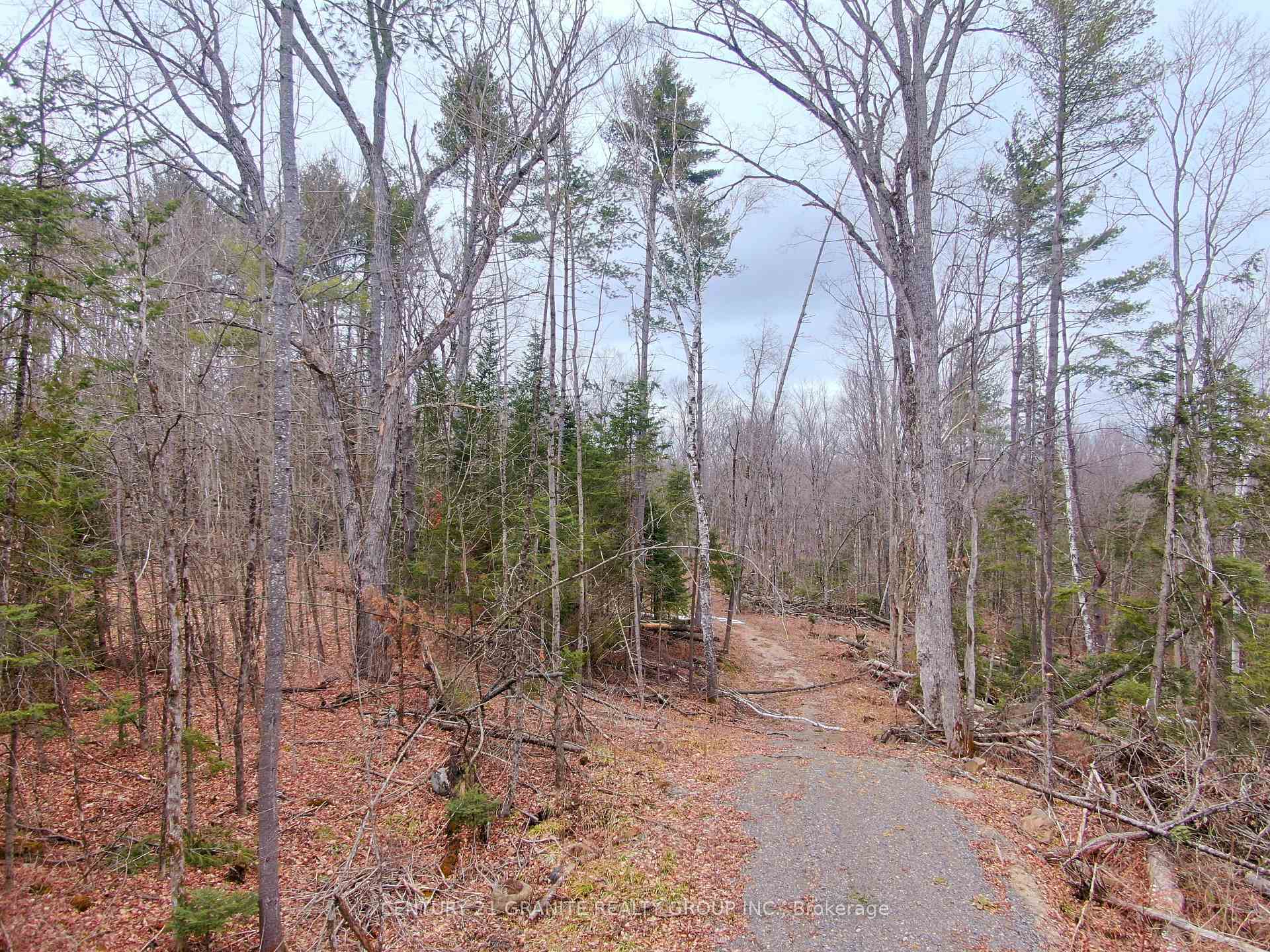Photo 3 of Steenburg Lake North Road E, Limerick — HOMEH