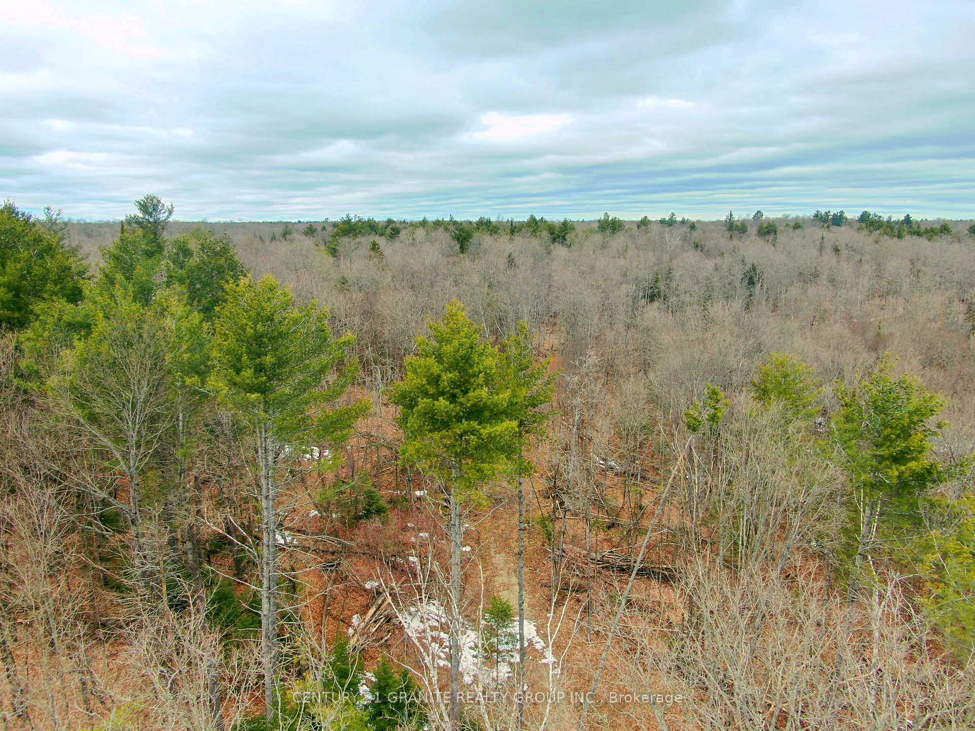 Photo 4 of Steenburg Lake North Road E, Limerick — HOMEH