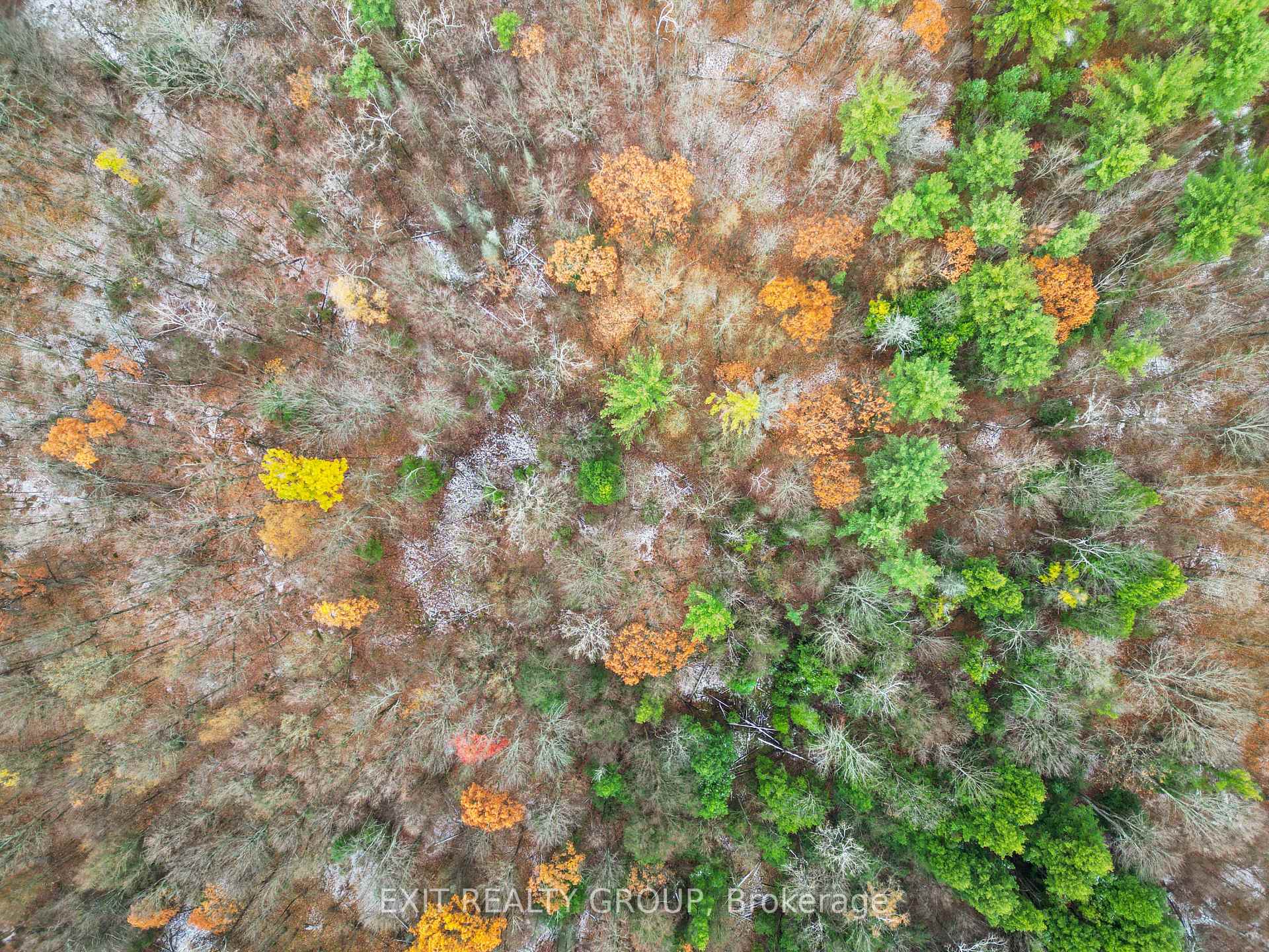 Photo 16 of Morrison Road, Madoc — HOMEH