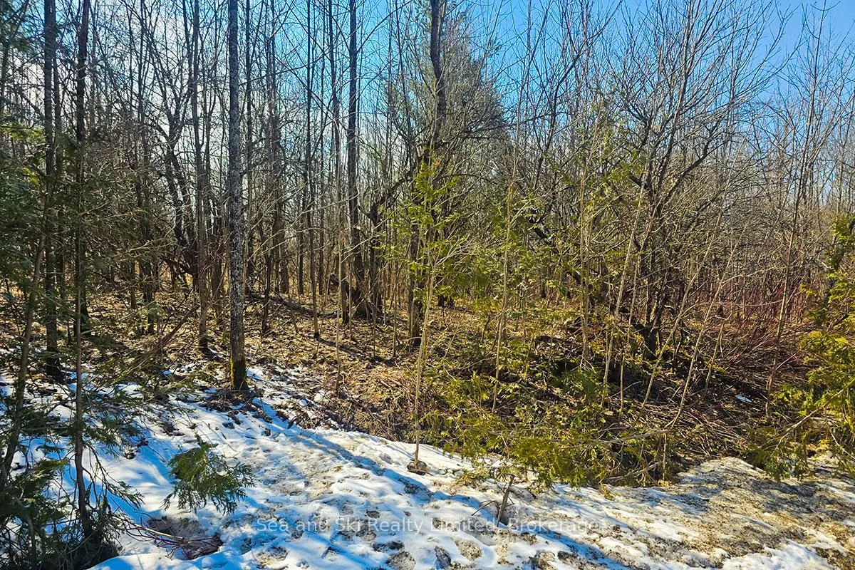 Photo 3 of 180 Bowles Bluff Road, Grey Highlands — HOMEH