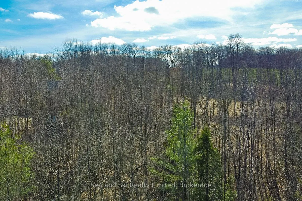 Photo 4 of 180 Bowles Bluff Road, Grey Highlands — HOMEH