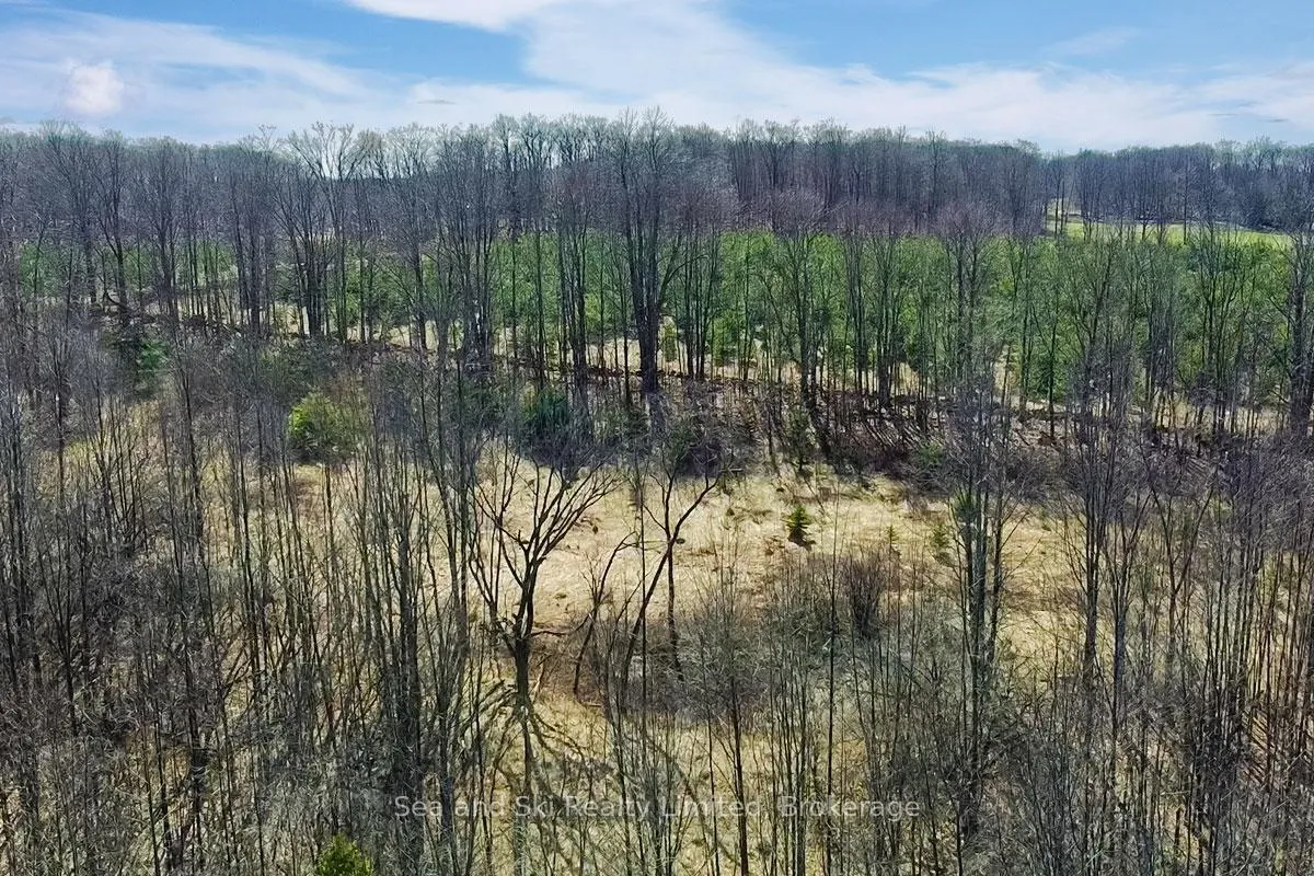 Photo 5 of 180 Bowles Bluff Road, Grey Highlands — HOMEH