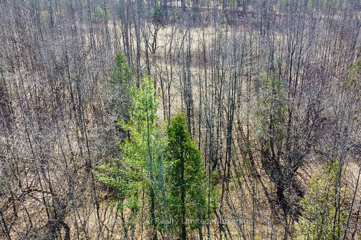 Photo 7 of 180 Bowles Bluff Road, Grey Highlands — HOMEH