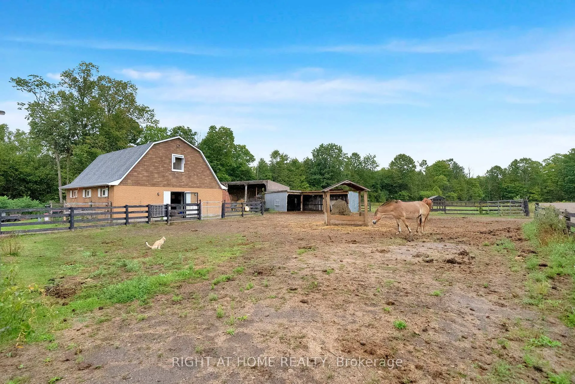 Photo 35 of 6265 Regional Road 18, Clarington, Rural Clarington — HOMEH