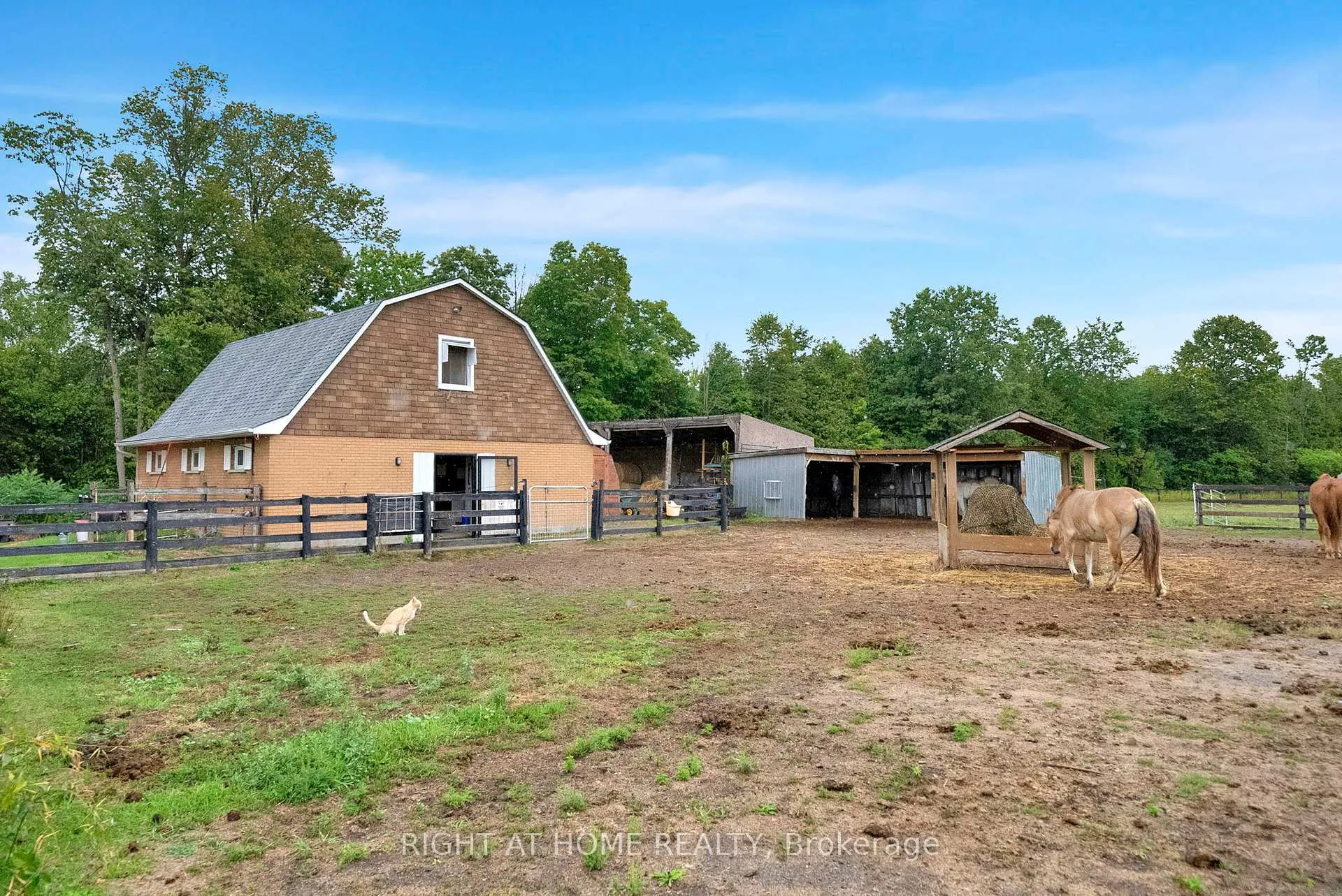 Photo 36 of 6265 Regional Road 18, Clarington, Rural Clarington — HOMEH