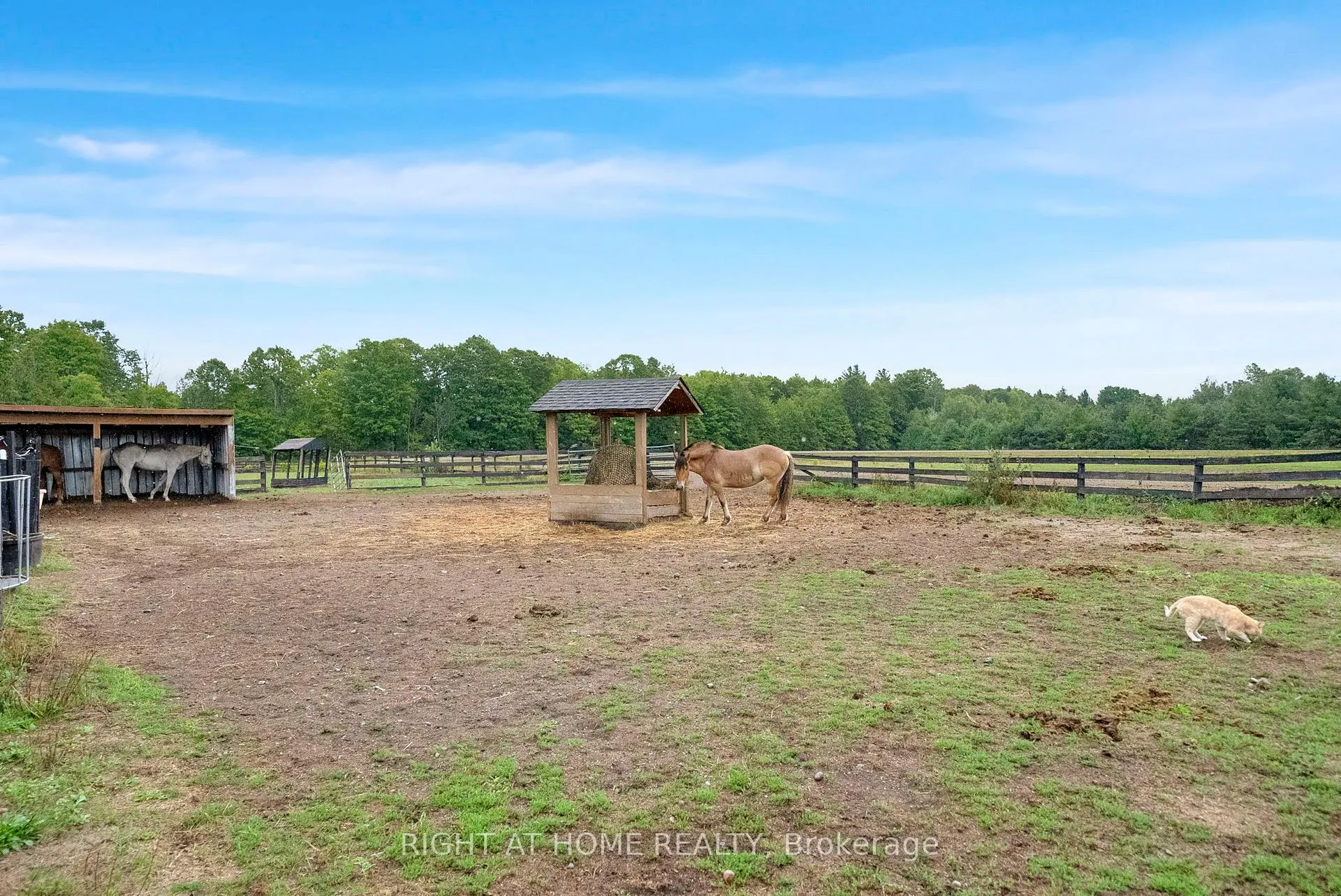 Photo 37 of 6265 Regional Road 18, Clarington, Rural Clarington — HOMEH