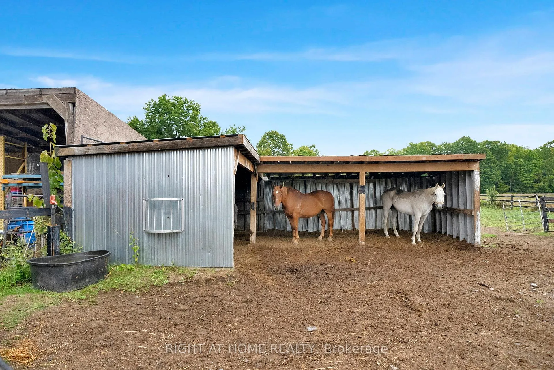 Photo 39 of 6265 Regional Road 18, Clarington, Rural Clarington — HOMEH