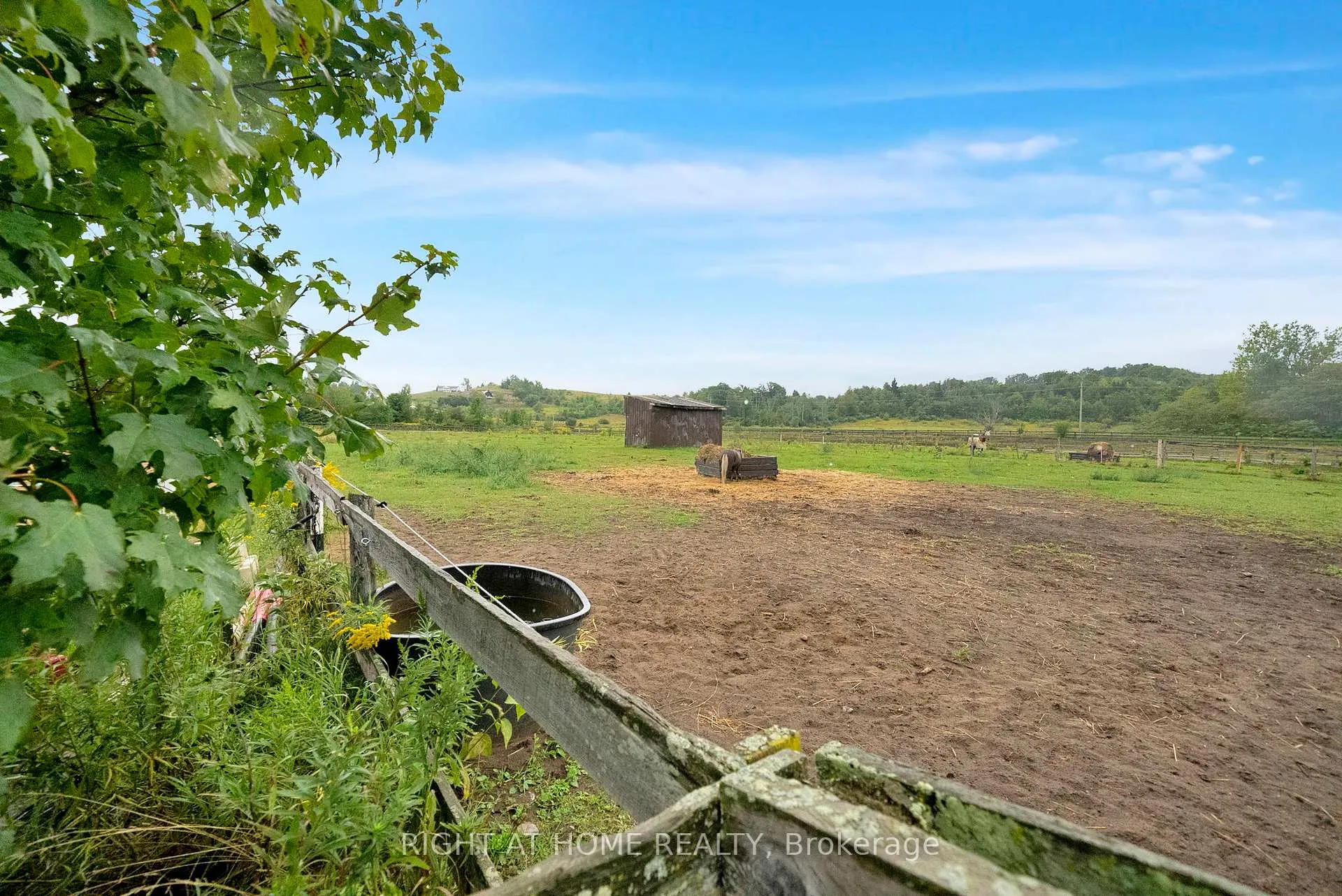 Photo 44 of 6265 Regional Road 18, Clarington, Rural Clarington — HOMEH
