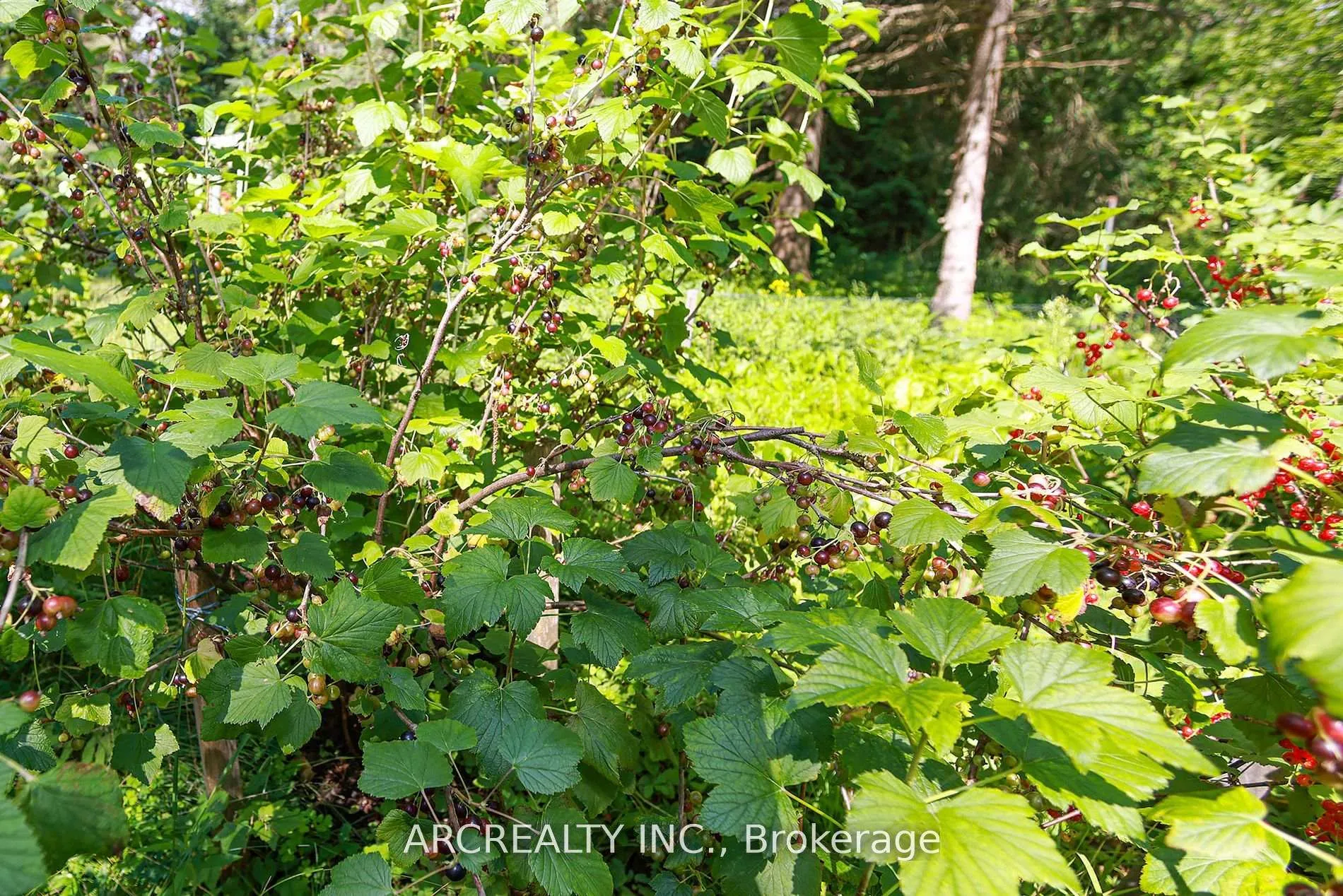 Photo 24 of 4400 Lloydtown Aurora Road, King, Pottageville — HOMEH