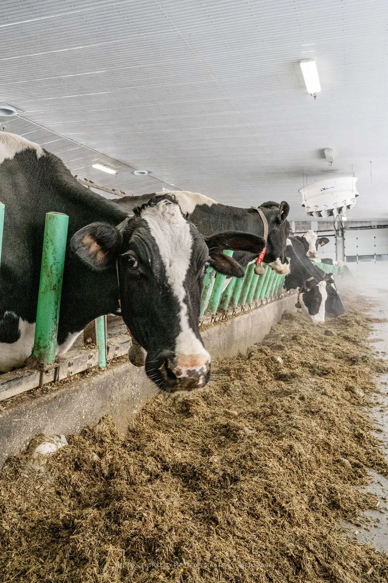 Photo 8 of 8548 Wellington Road, Mapleton, Rural Mapleton — HOMEH