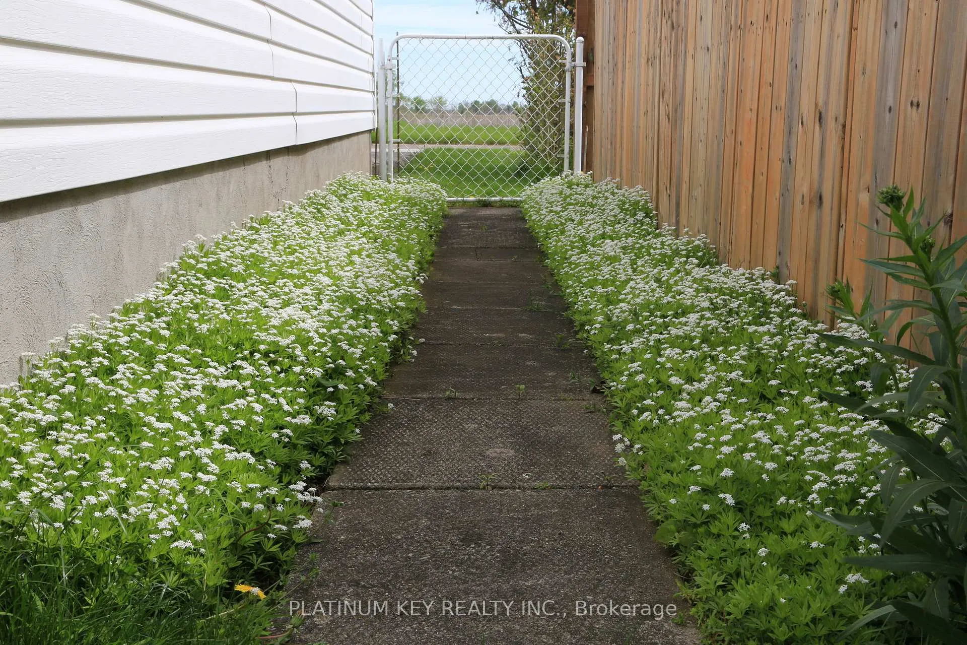 Photo 34 of 237A Stella Avenue, Southwest Middlesex, Glencoe — HOMEH