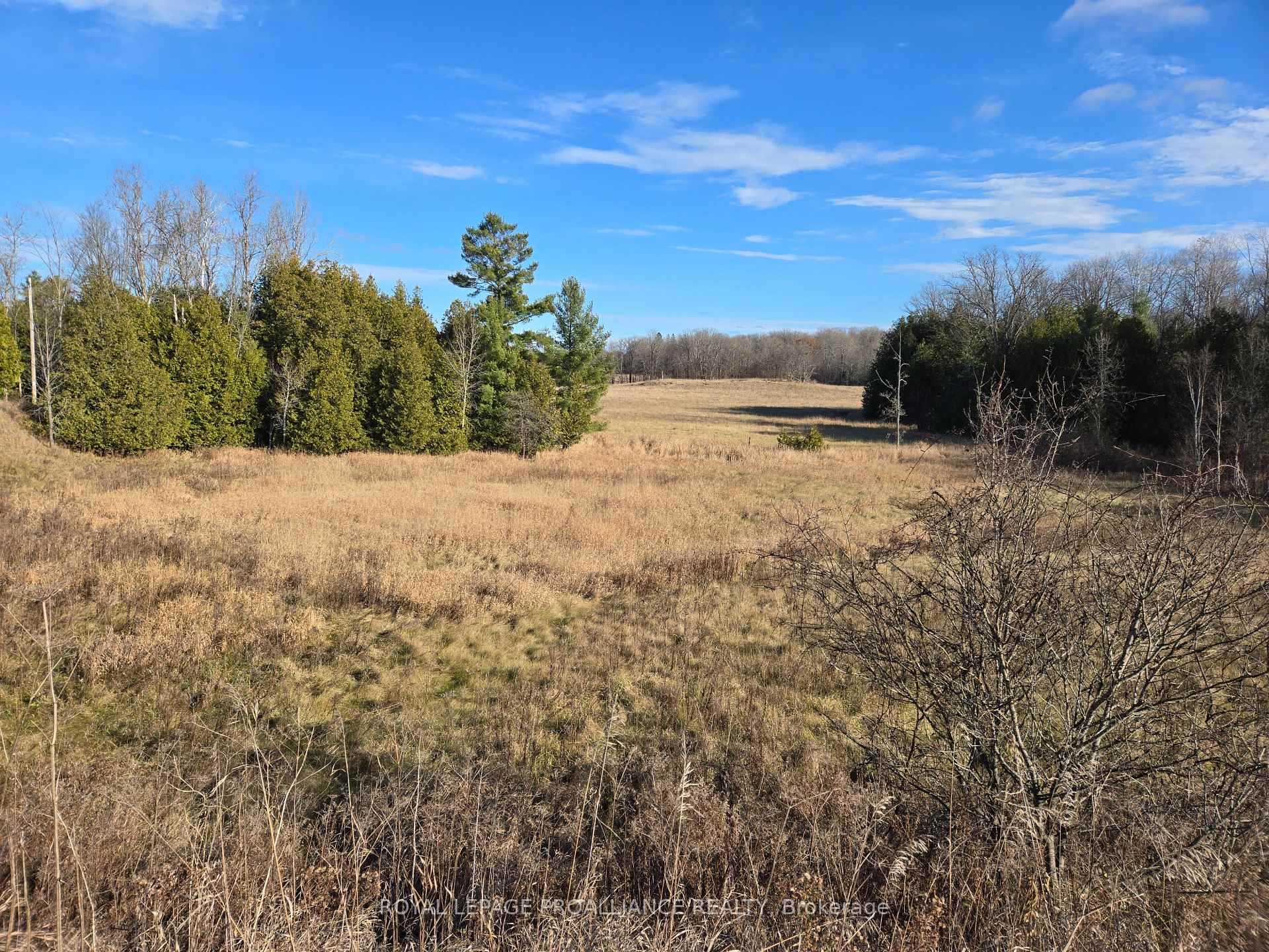 Photo 9 of Cooper Road, Madoc — HOMEH