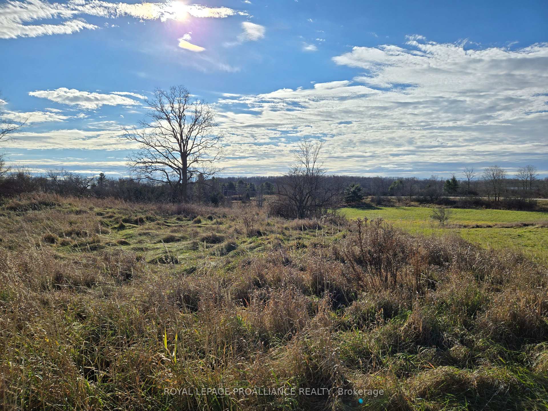 Photo 15 of Cooper Road, Madoc — HOMEH