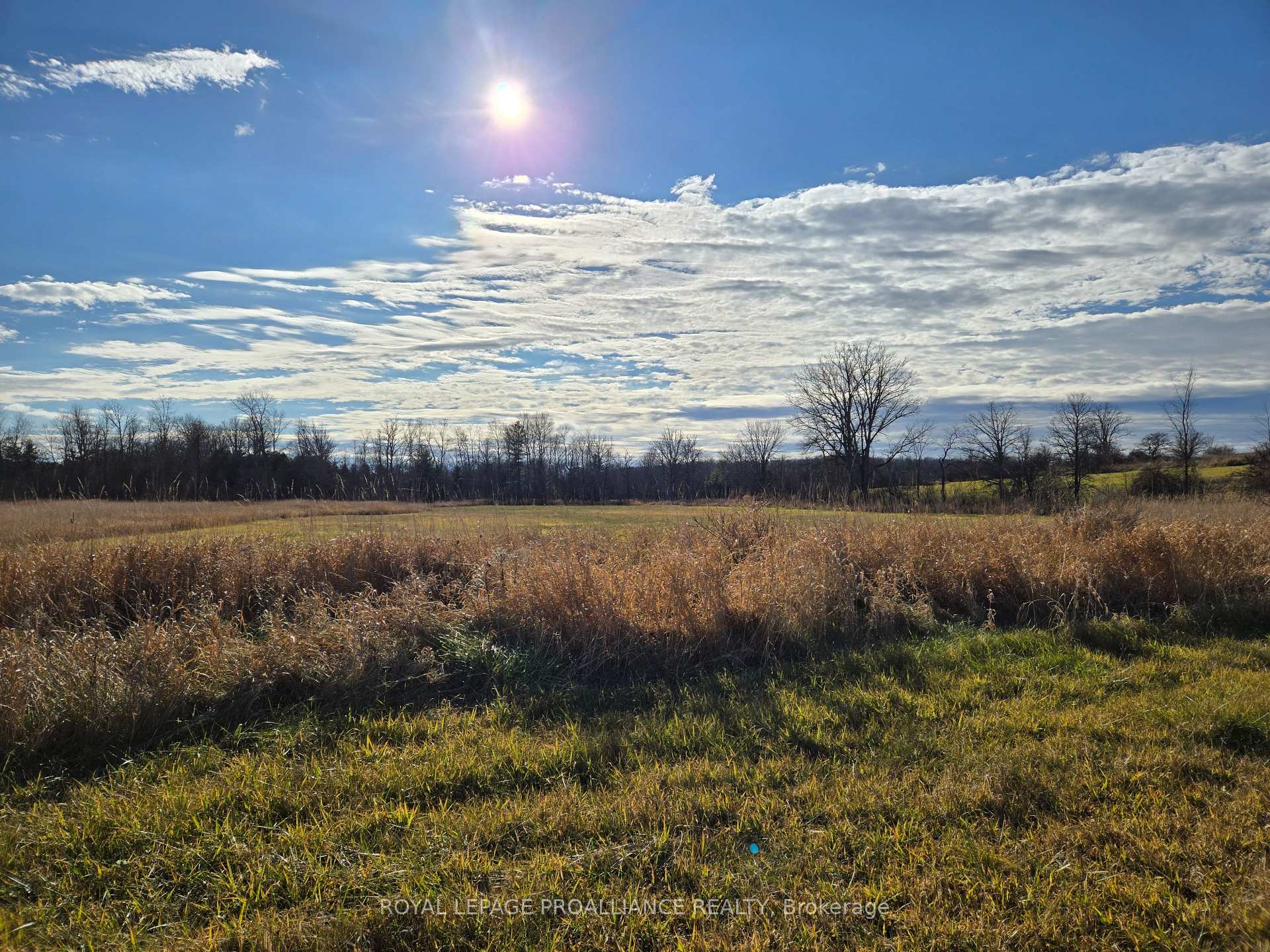 Photo 21 of Cooper Road, Madoc — HOMEH