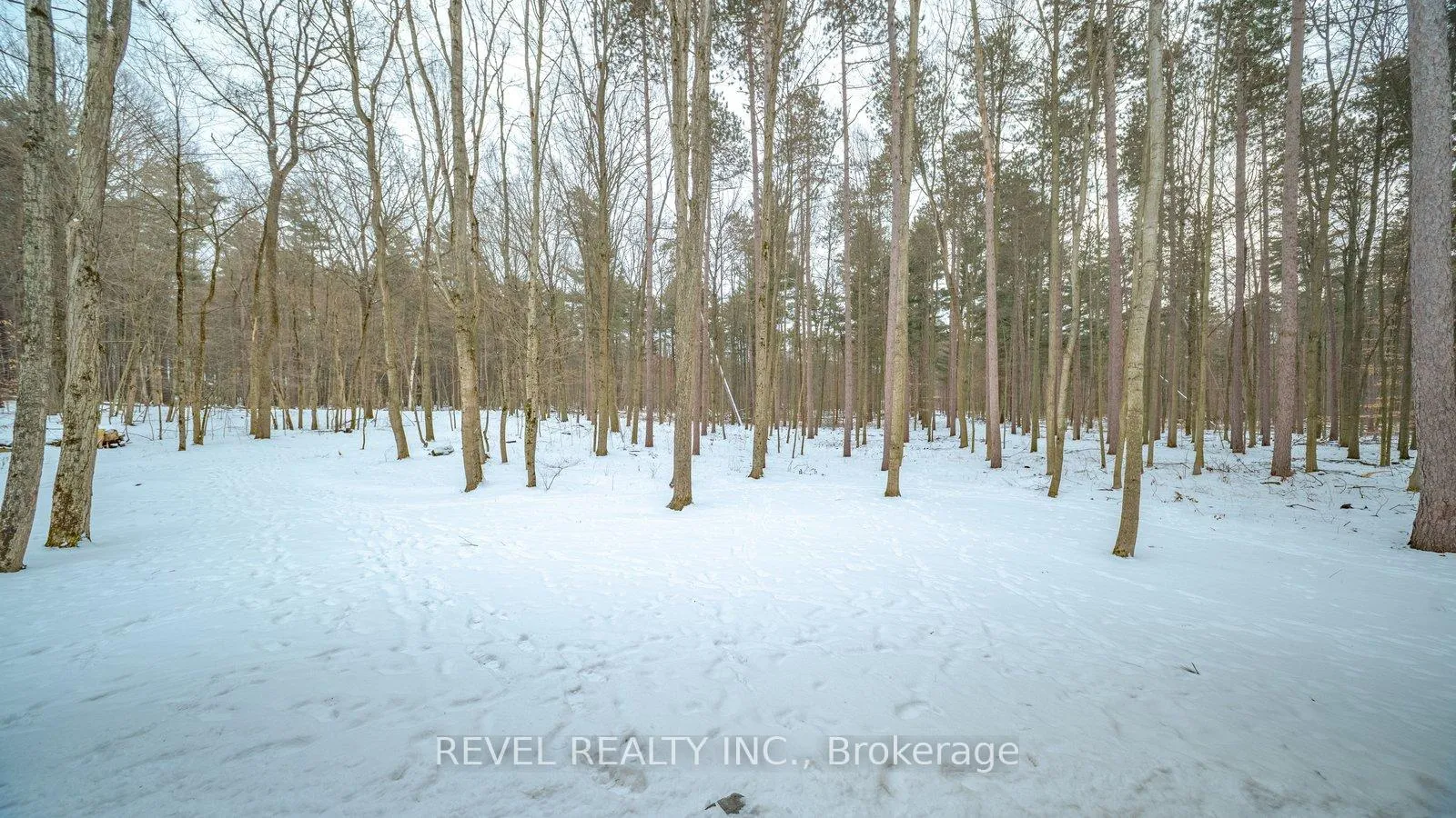 Photo 42 of 1498 12th Concession Road, Norfolk, Langton — HOMEH