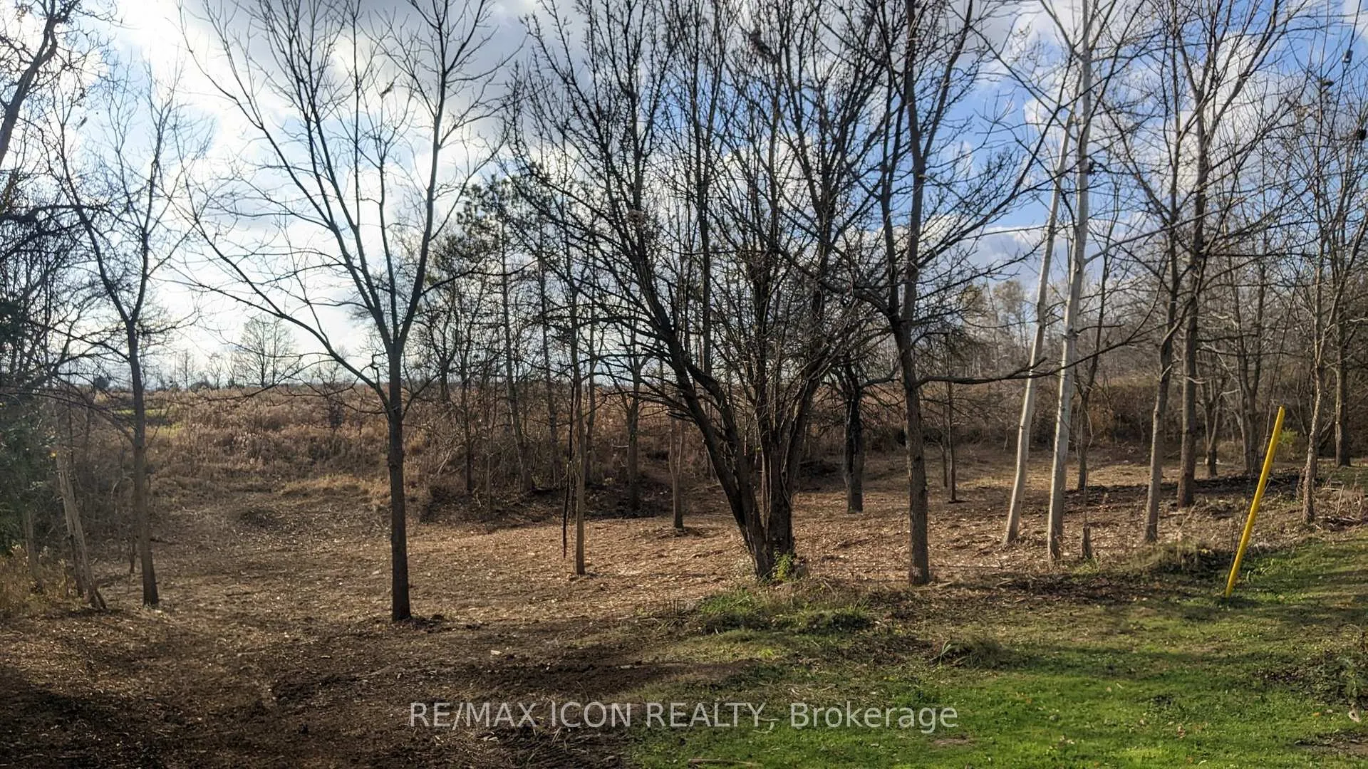 Photo of 237 Frederick Street W