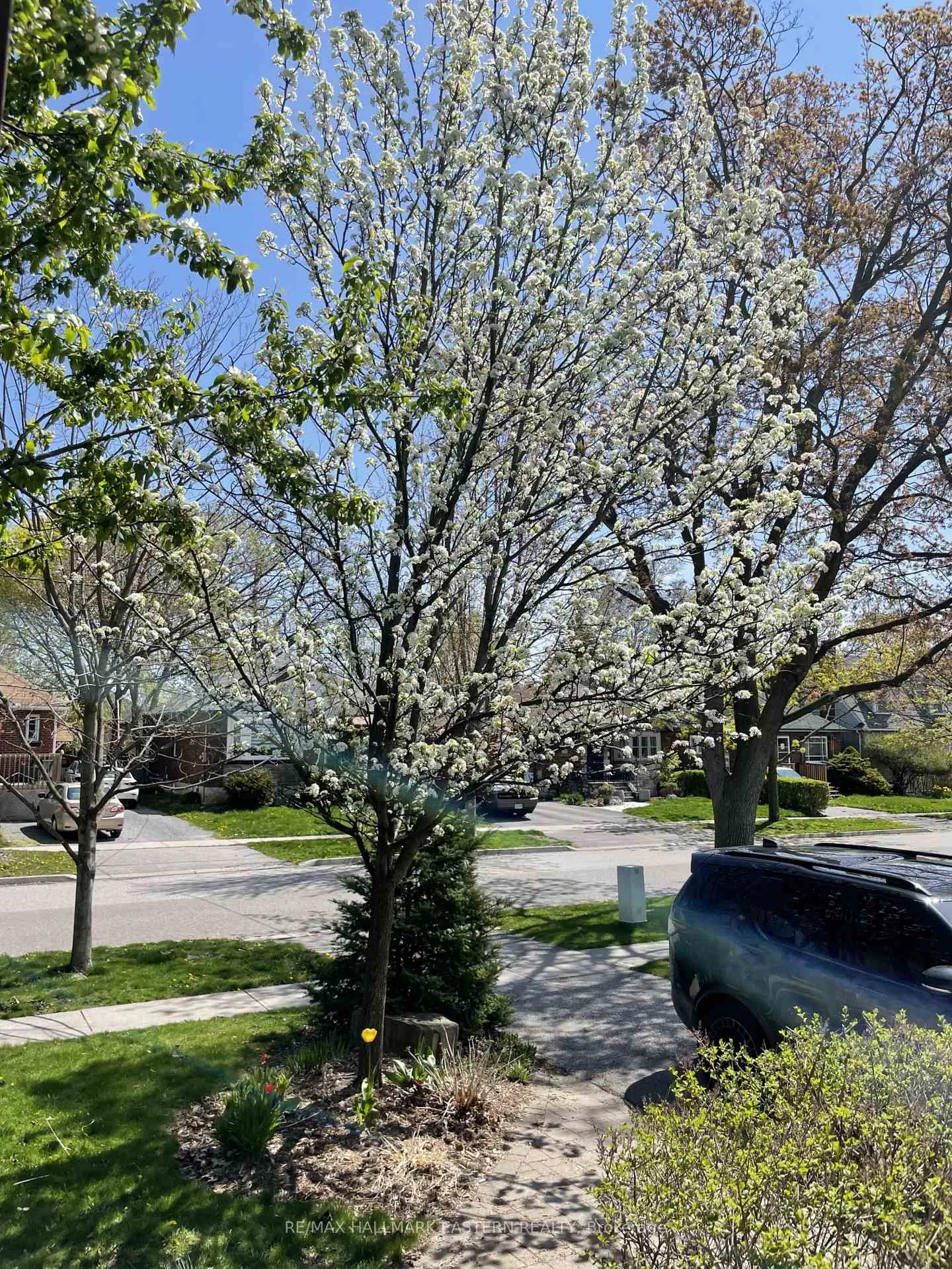 Photo 44 of 84 Cadillac Avenue S, Oshawa, Central — HOMEH
