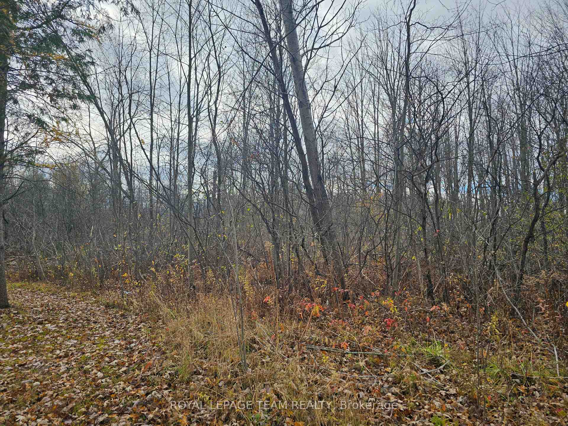 Photo 1 of 1 Leitrim Road, Ottawa, Leitrim — HOMEH
