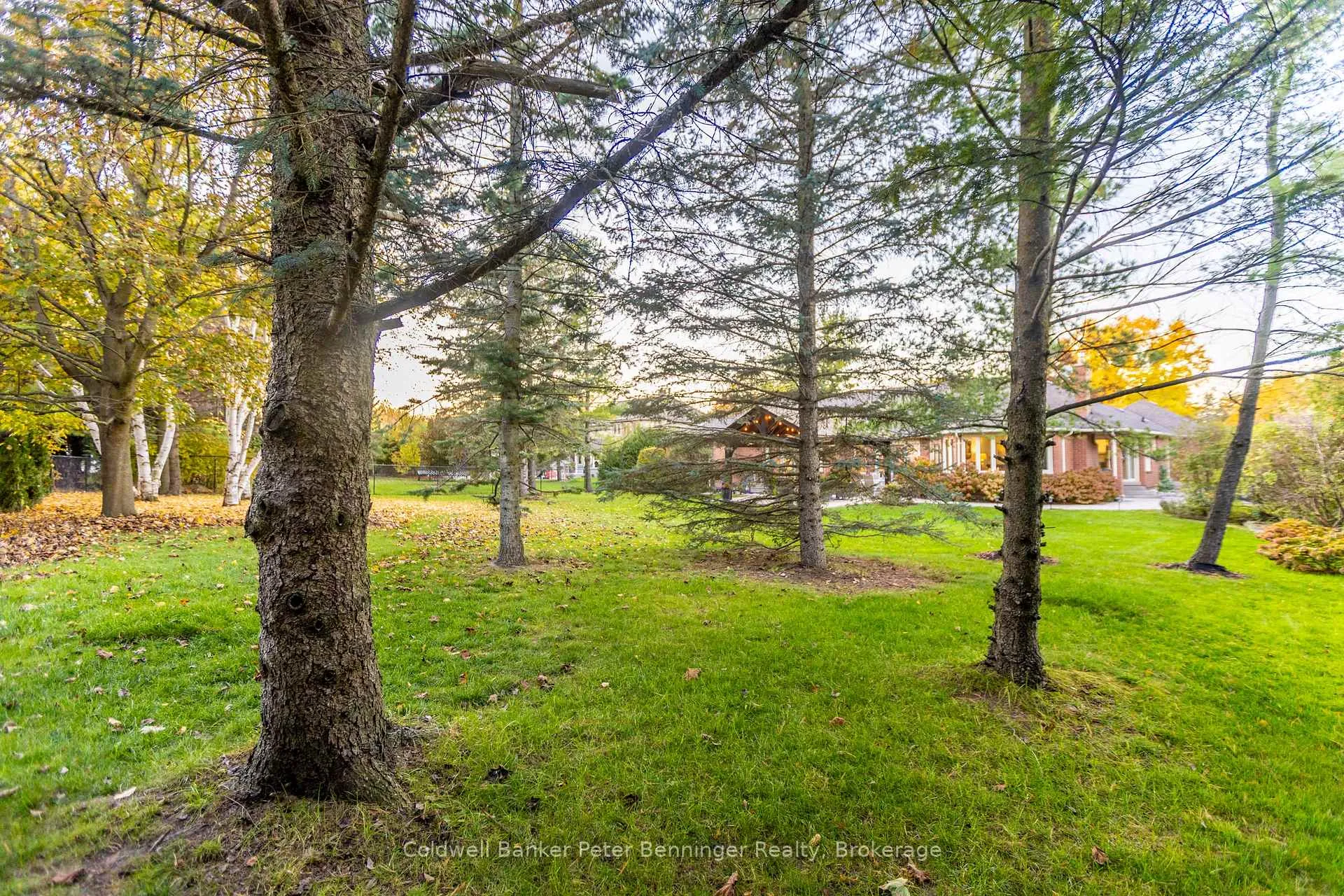 Photo 42 of 152 Treegrove Circle, Aurora, Hills of St Andrew — HOMEH